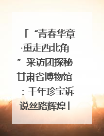 “青春华章·重走西北角”采访团探秘甘肃省博物馆：千年珍宝诉说丝路辉煌