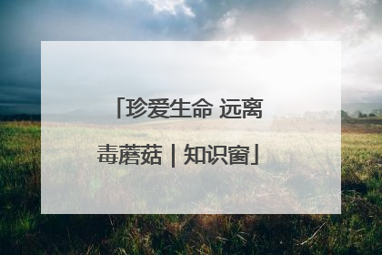珍爱生命 远离毒蘑菇｜知识窗