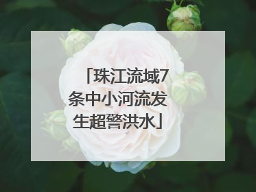 珠江流域7条中小河流发生超警洪水