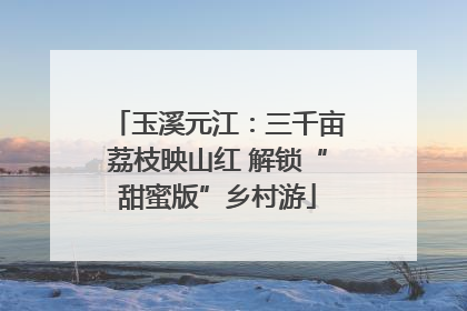 玉溪元江：三千亩荔枝映山红 解锁“甜蜜版”乡村游