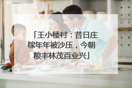 王小楼村：昔日庄稼年年被沙压，今朝粮丰林茂百业兴