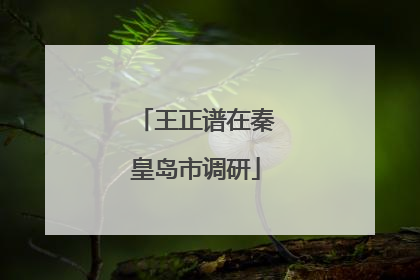 王正谱在秦皇岛市调研