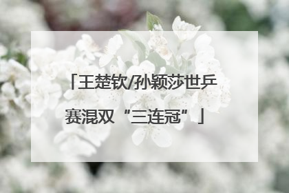 王楚钦/孙颖莎世乒赛混双“三连冠”