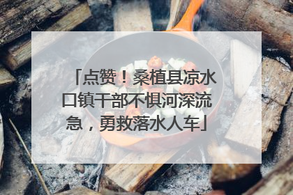 点赞！桑植县凉水口镇干部不惧河深流急，勇救落水人车