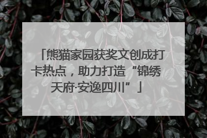熊猫家园获奖文创成打卡热点，助力打造“锦绣天府·安逸四川”