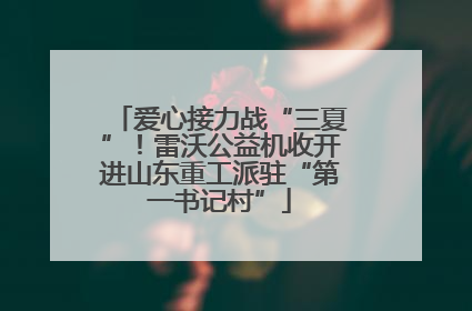 爱心接力战“三夏”！雷沃公益机收开进山东重工派驻“第一书记村”