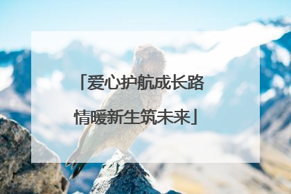 爱心护航成长路 情暖新生筑未来