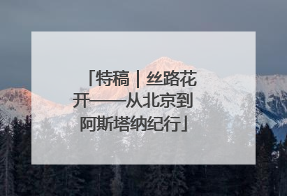 特稿｜丝路花开——从北京到阿斯塔纳纪行