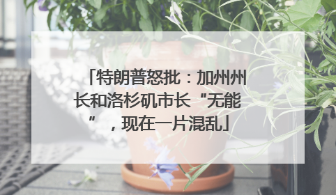 特朗普怒批：加州州长和洛杉矶市长“无能”，现在一片混乱