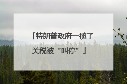 特朗普政府一揽子关税被“叫停”