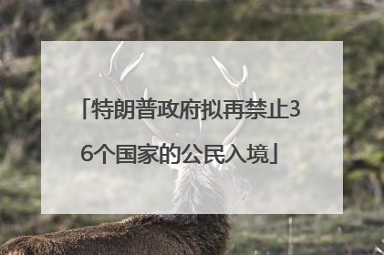 特朗普政府拟再禁止36个国家的公民入境
