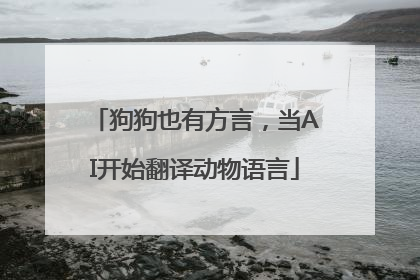 狗狗也有方言，当AI开始翻译动物语言