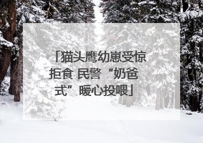 猫头鹰幼崽受惊拒食 民警“奶爸式”暖心投喂