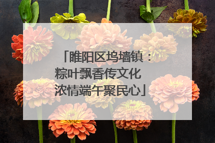 睢阳区坞墙镇：粽叶飘香传文化 浓情端午聚民心