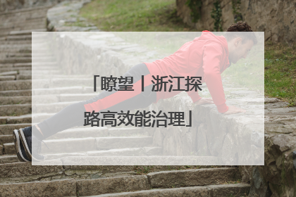 瞭望丨浙江探路高效能治理