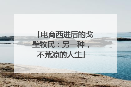 电商西进后的戈壁牧民：另一种，不荒凉的人生