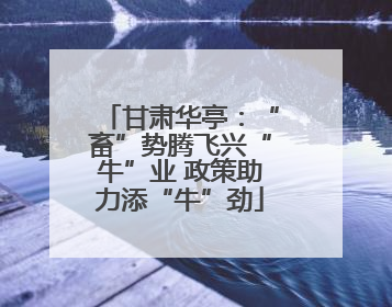 甘肃华亭：“畜”势腾飞兴“牛”业 政策助力添“牛”劲