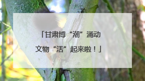 甘肃博“潮”涌动 文物“活”起来啦！