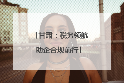 甘肃：税务领航 助企合规前行