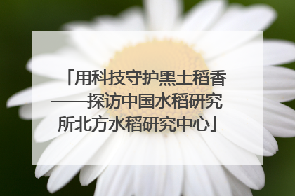 用科技守护黑土稻香——探访中国水稻研究所北方水稻研究中心