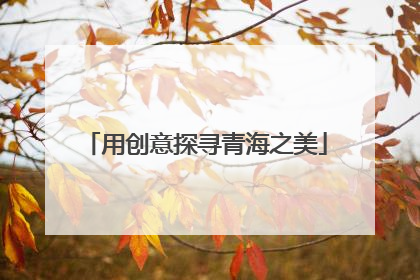 用创意探寻青海之美