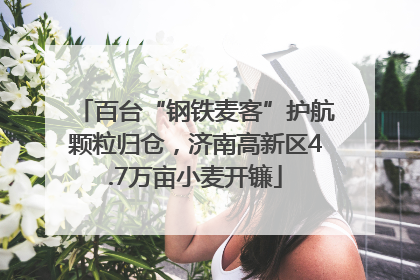 百台“钢铁麦客”护航颗粒归仓，济南高新区4.7万亩小麦开镰