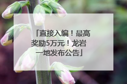 直接入编！最高奖励5万元！龙岩一地发布公告