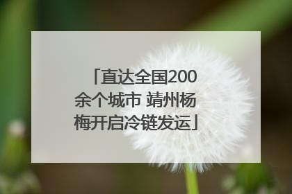 直达全国200余个城市 靖州杨梅开启冷链发运