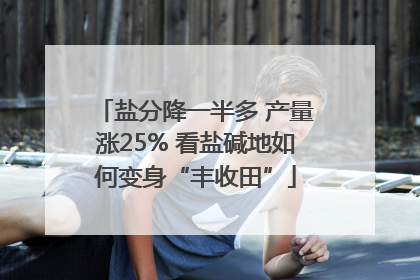 盐分降一半多 产量涨25% 看盐碱地如何变身“丰收田”