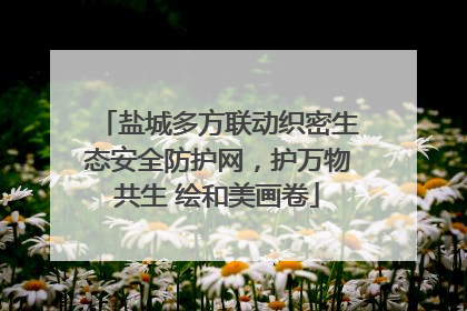 盐城多方联动织密生态安全防护网，护万物共生 绘和美画卷