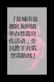 盐城市盐都区龙冈镇举办禁毒宣传活动，全民携手共筑禁毒防线