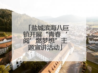 盐城滨海八巨镇开展“青春‘阅’燃梦想”主题宣讲活动