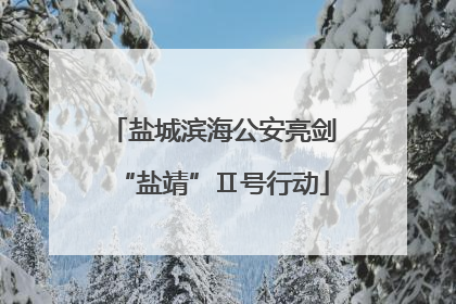 盐城滨海公安亮剑“盐靖”Ⅱ号行动
