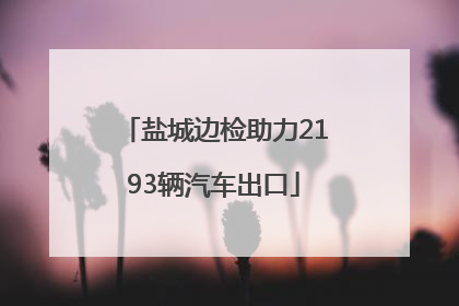 盐城边检助力2193辆汽车出口