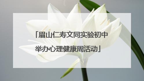 眉山仁寿文同实验初中举办心理健康周活动