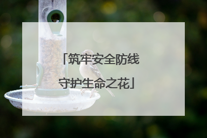 筑牢安全防线 守护生命之花
