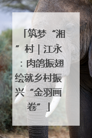 筑梦“湘”村｜江永：肉鸽振翅绘就乡村振兴“金羽画卷”