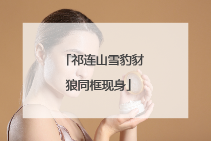 祁连山雪豹豺狼同框现身