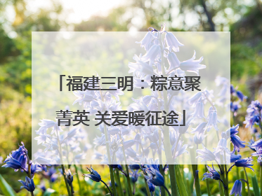 福建三明：粽意聚菁英 关爱暖征途