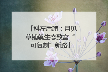 科左后旗：月见草铺就生态致富“可复制”新路