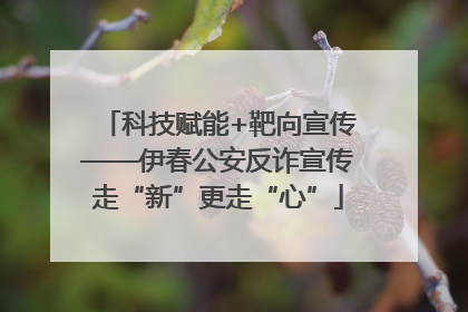 科技赋能+靶向宣传——伊春公安反诈宣传走“新”更走“心”
