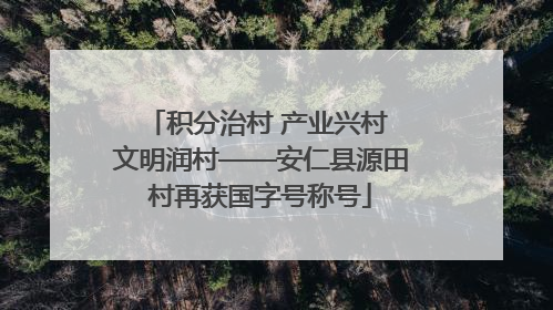 积分治村 产业兴村 文明润村——安仁县源田村再获国字号称号