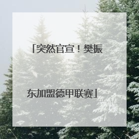 突然官宣!樊振东加盟德甲联赛