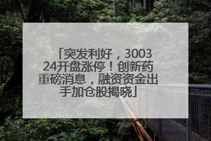 突发利好，300324开盘涨停！创新药重磅消息，融资资金出手加仓股揭晓