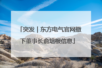 突发｜东方电气官网撤下董事长俞培根信息