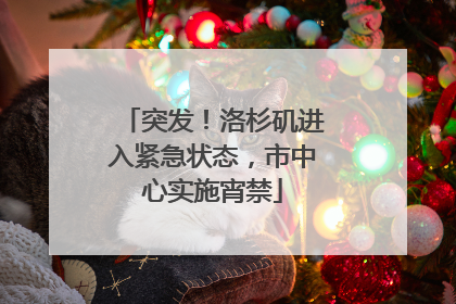 突发！洛杉矶进入紧急状态，市中心实施宵禁
