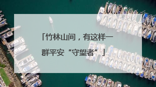 竹林山间，有这样一群平安“守望者”