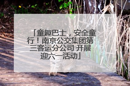 童趣巴士，安全童行！南京公交集团第三客运分公司 开展迎六一活动
