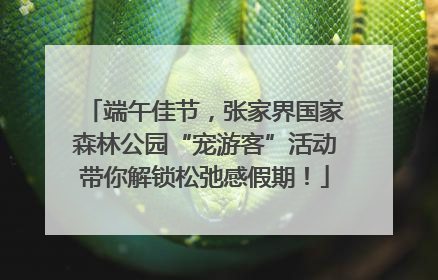 端午佳节，张家界国家森林公园“宠游客”活动带你解锁松弛感假期！