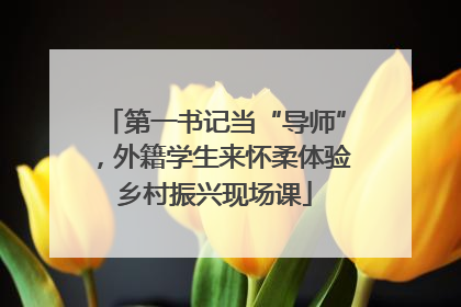 第一书记当“导师”，外籍学生来怀柔体验乡村振兴现场课